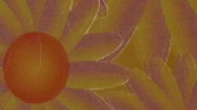 Pussies cover image